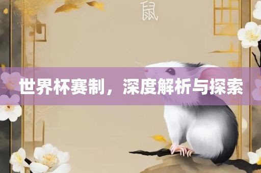 世界杯赛制，深度解析与探索