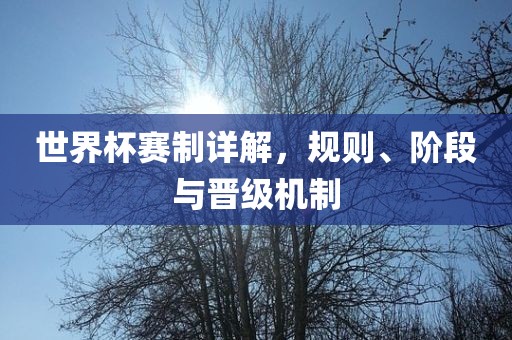 世界杯赛制详解，规则、阶段与晋级机制