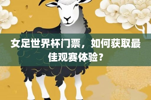 女足世界杯门票，如何获取最佳观赛体验？