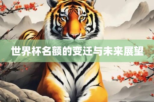 世界杯名额的变迁与未来展望