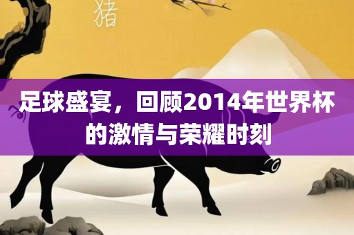 足球盛宴，回顾2014年世界杯的激情与荣耀时刻