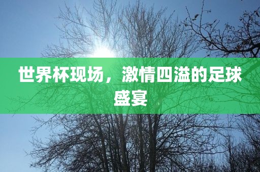 世界杯现场，激情四溢的足球盛宴