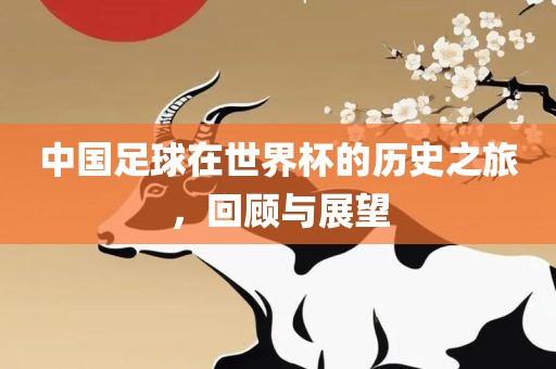 中国足球在世界杯的历史之旅，回顾与展望