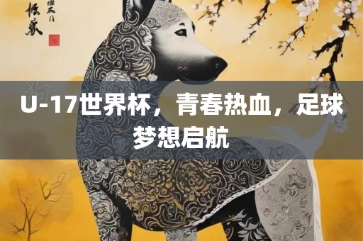 U-17世界杯，青春热血，足球梦想启航