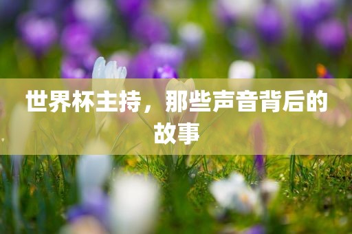 世界杯主持，那些声音背后的故事