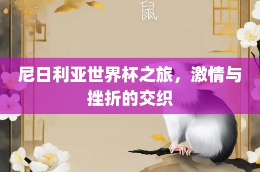 尼日利亚世界杯之旅，激情与挫折的交织