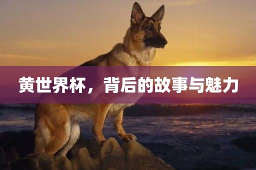 黄世界杯，背后的故事与魅力