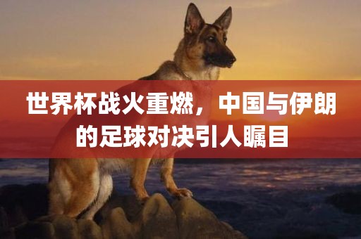 世界杯战火重燃，中国与伊朗的足球对决引人瞩目