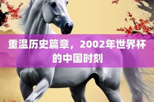 重温历史篇章，2002年世界杯的中国时刻