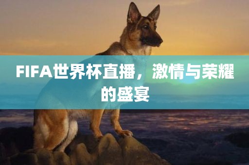 FIFA世界杯直播，激情与荣耀的盛宴
