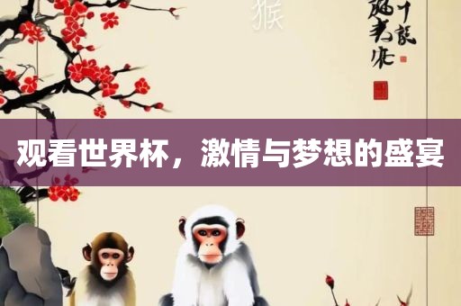观看世界杯，激情与梦想的盛宴