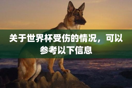 关于世界杯受伤的情况，可以参考以下信息
