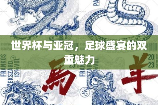 世界杯与亚冠，足球盛宴的双重魅力