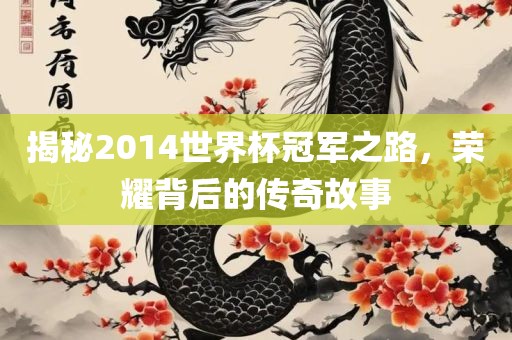 揭秘2014世界杯冠军之路，荣耀背后的传奇故事