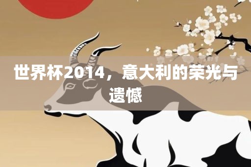 世界杯2014，意大利的荣光与遗憾