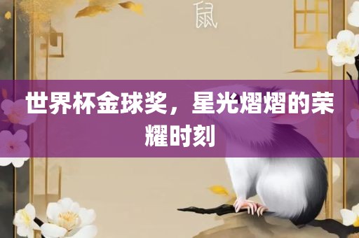 世界杯金球奖，星光熠熠的荣耀时刻