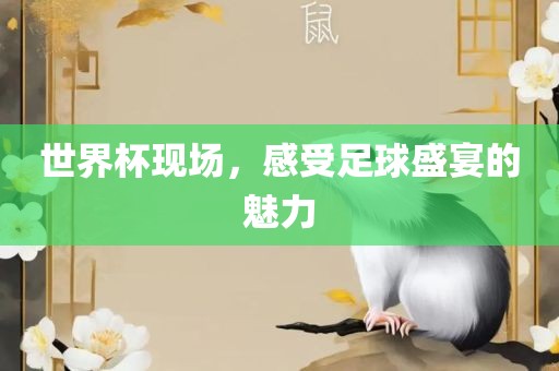 世界杯现场，感受足球盛宴的魅力