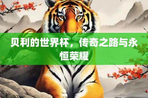 贝利的世界杯，传奇之路与永恒荣耀