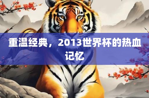 重温经典，2013世界杯的热血记忆