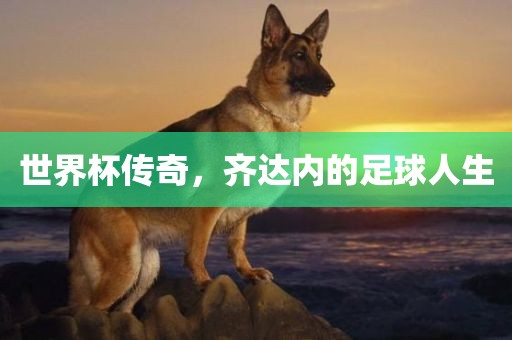 世界杯传奇，齐达内的足球人生