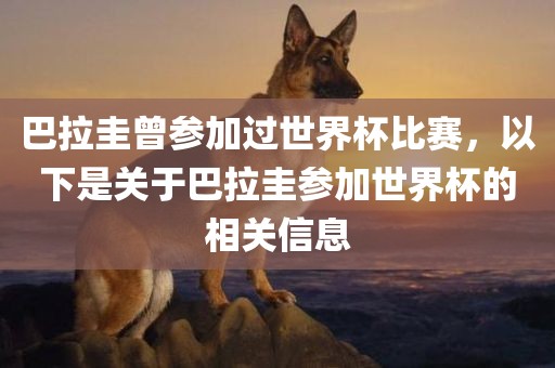 巴拉圭曾参加过世界杯比赛，以下是关于巴拉圭参加世界杯的相关信息