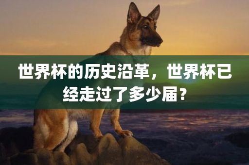世界杯的历史沿革，世界杯已经走过了多少届？