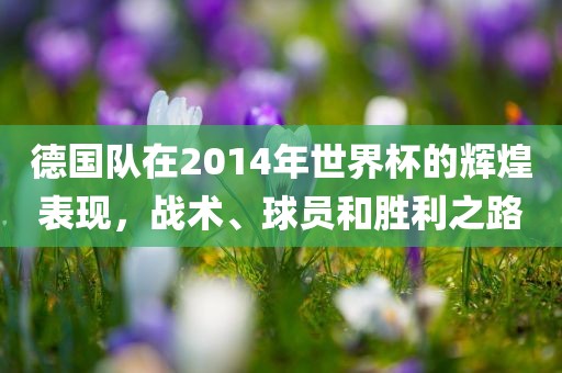 德国队在2014年世界杯的辉煌表现，战术、球员和胜利之路