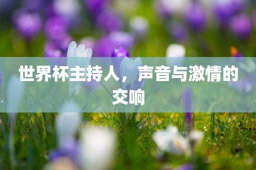 世界杯主持人，声音与激情的交响
