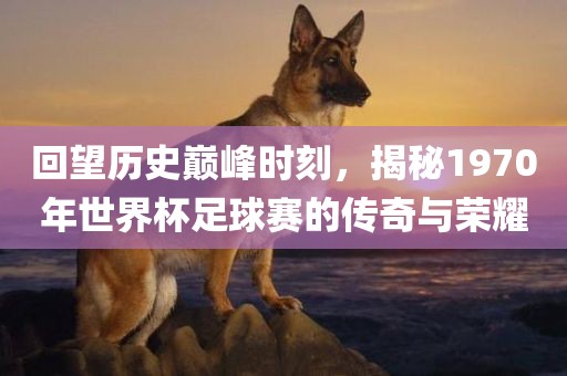 回望历史巅峰时刻，揭秘1970年世界杯足球赛的传奇与荣耀