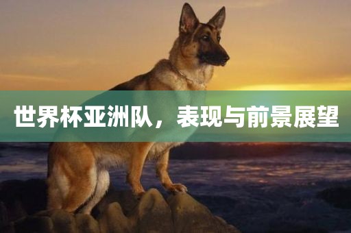 世界杯亚洲队，表现与前景展望