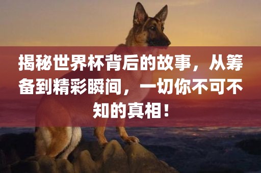 揭秘世界杯背后的故事，从筹广西贺州市华昌新材料有限公司备到精彩瞬间，一切你不可不知的真相！