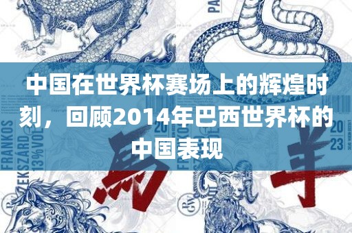 中国在世界杯赛场上的辉煌时刻，回顾2014年巴西世界杯的中国表现