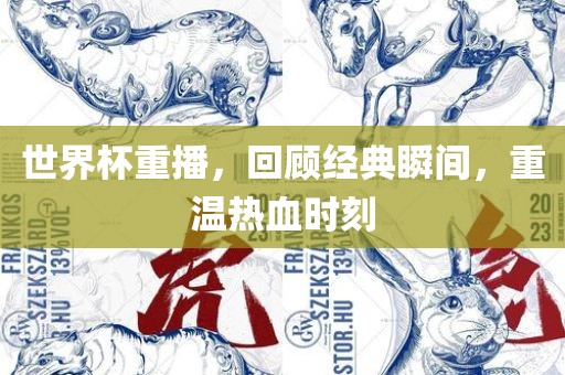 世界杯重播，回顾经典瞬间，重温热血时刻