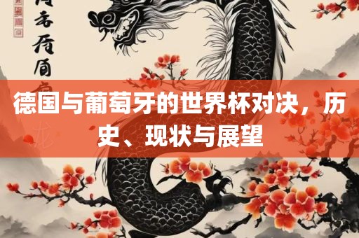 德国与葡萄牙的世界杯对决，历史、现状与展望