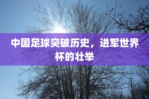 中国足球突破历史，进军世界杯的壮举
