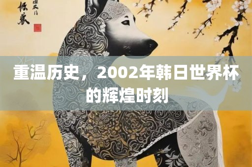 重温历史，2002年韩日世界杯的辉煌时刻