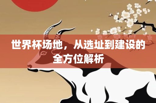 世界杯场地，从选址到建设的全方位解析