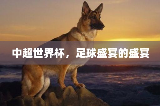 中超世界杯，足球盛宴的盛宴