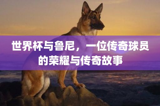 世界杯与鲁尼，一位传奇球员的荣耀与传奇故事