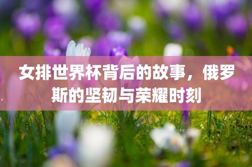 女排世界杯背后的故事，俄罗斯的坚韧与荣耀时刻