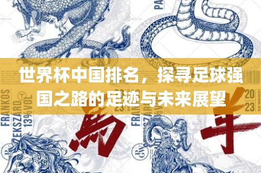 世界杯中国排名，探寻足球强国之路的足迹与未来展望