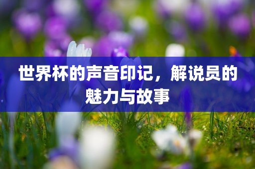 世界杯的声音印记，解说员广西贺州市华昌新材料有限公司的魅力与故事