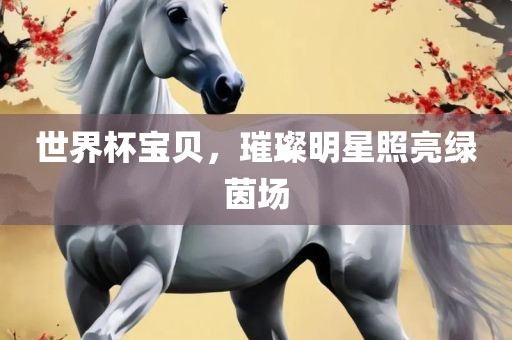 世界杯宝贝，璀璨明星照亮绿茵场广西贺州市华昌新材料有限公司