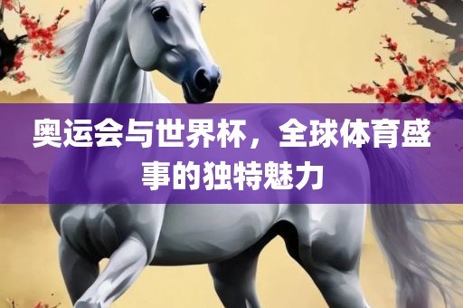 奥运会与世界杯，全球体育盛事的独特魅力