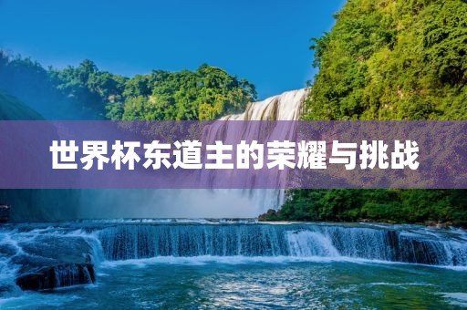 世界杯东道主的荣耀与挑战