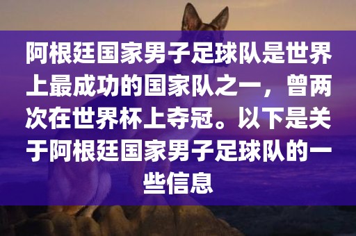 阿根廷国家男子足球队是世界上最成功的国家队之一，曾两次在世界杯上夺冠。以下是关于阿根廷国家男子足球队的一些信息