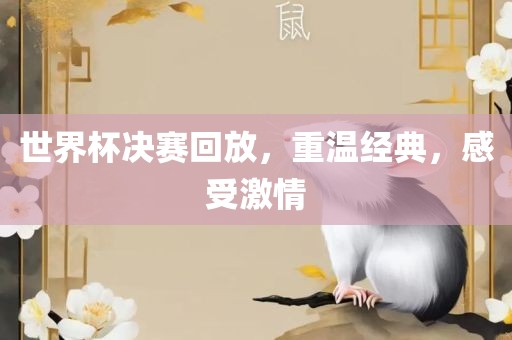 世界杯决赛回放，重温经典，感受激情广西贺州市华昌新材料有限公司