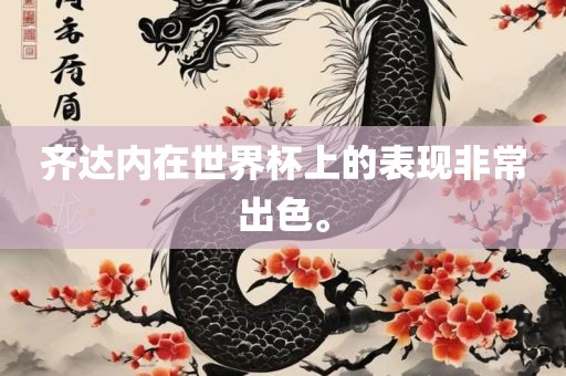 齐达内在世界杯上的表现非常出色。广西贺州市华昌新材料有限公司