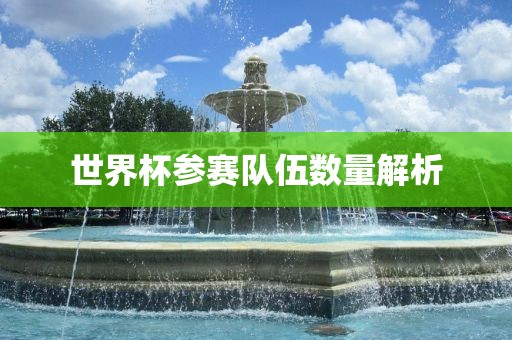 世界杯参赛队伍数广西贺州市华昌新材料有限公司量解析