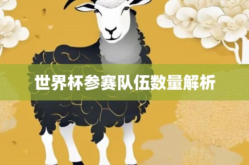 世界杯参赛队伍数量